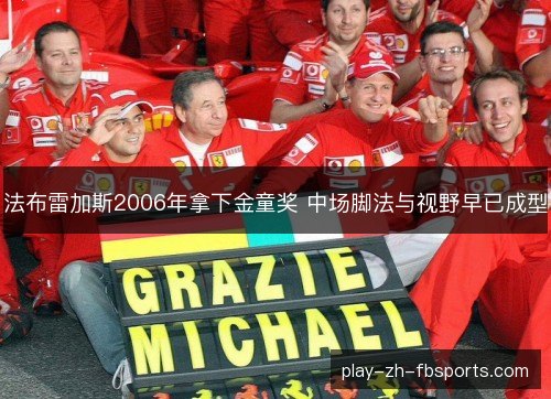 法布雷加斯2006年拿下金童奖 中场脚法与视野早已成型